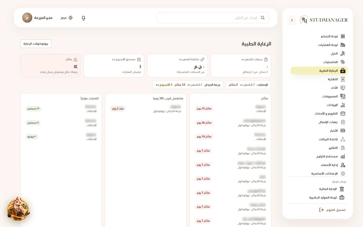 الرعاية الصحية